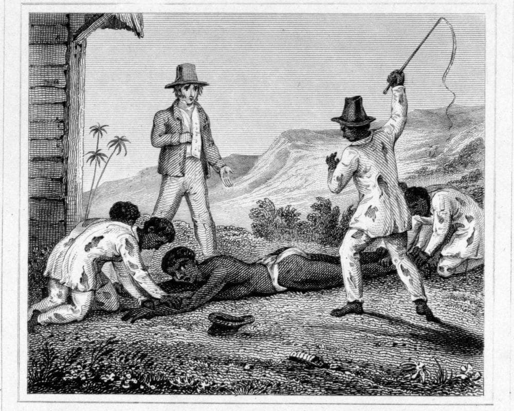 picture of article